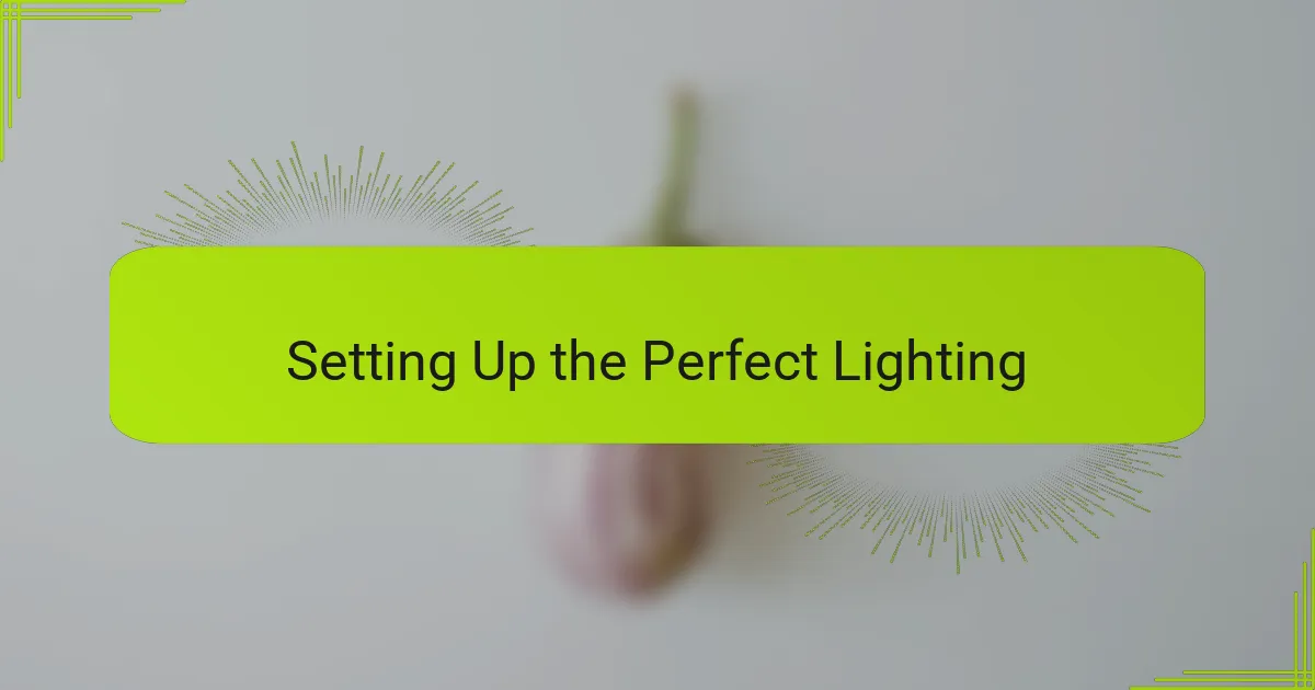 Setting Up the Perfect Lighting